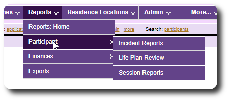 Participant Report